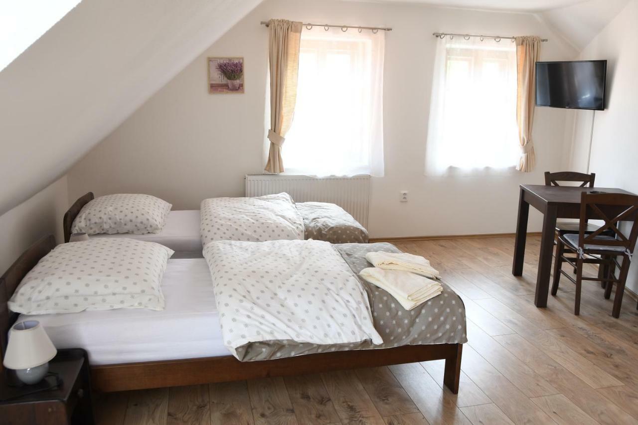 Penzion-Apartman Soucek Jindrichuv Hradec Luaran gambar